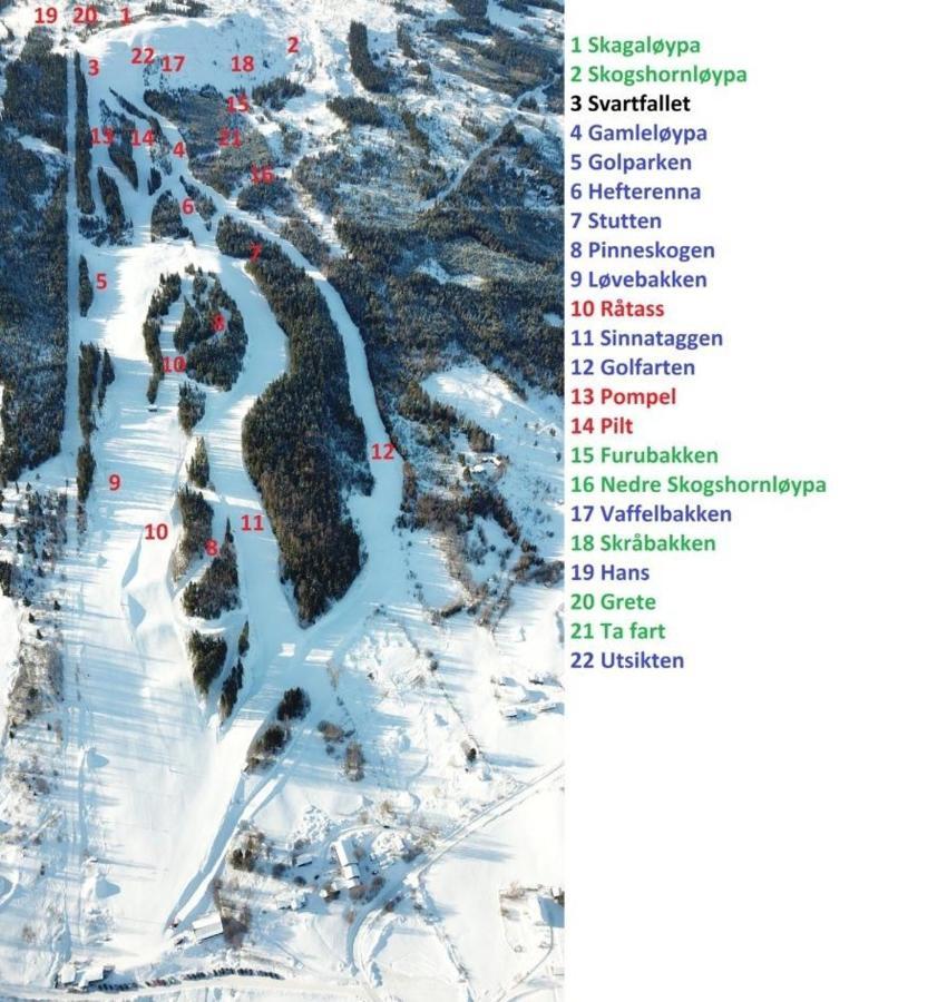 Perfect Moutain Getaway! Beautiful Apartment At Skagahogdi With Panoramic View Gol Eksteriør billede