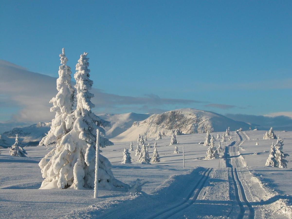 Perfect Moutain Getaway! Beautiful Apartment At Skagahogdi With Panoramic View Gol Eksteriør billede