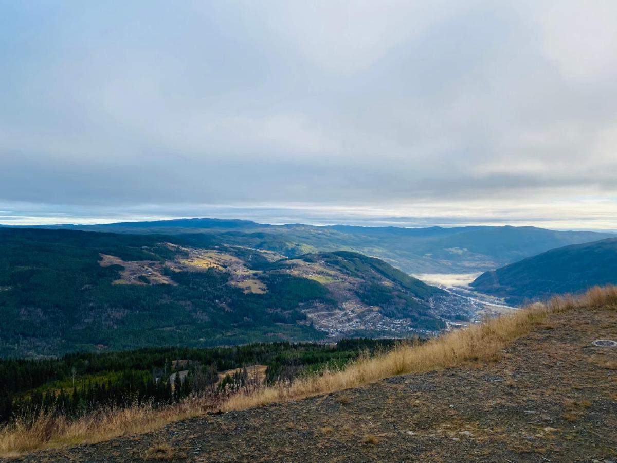 Perfect Moutain Getaway! Beautiful Apartment At Skagahogdi With Panoramic View Gol Eksteriør billede