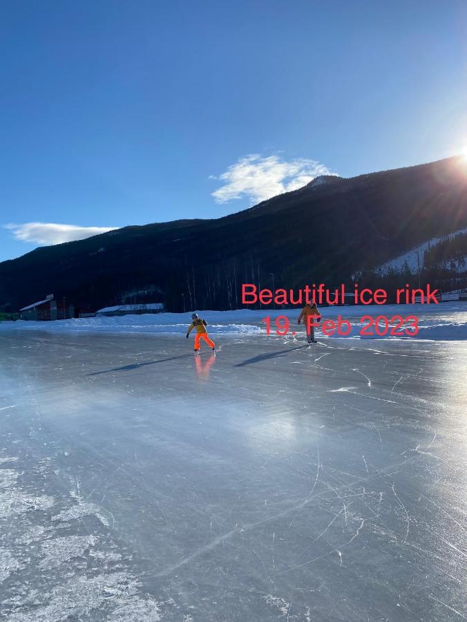 Perfect Moutain Getaway! Beautiful Apartment At Skagahogdi With Panoramic View Gol Eksteriør billede