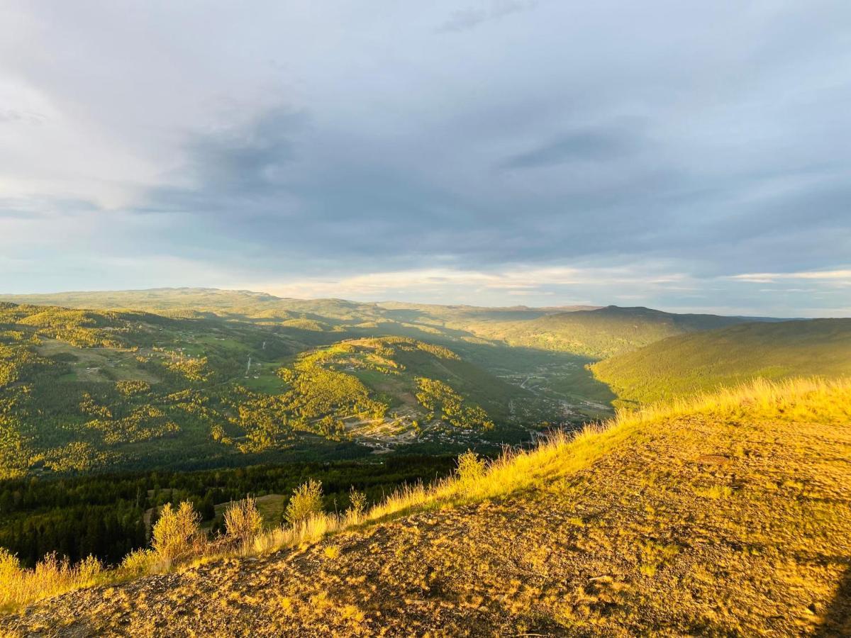 Perfect Moutain Getaway! Beautiful Apartment At Skagahogdi With Panoramic View Gol Eksteriør billede