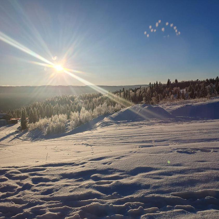 Perfect Moutain Getaway! Beautiful Apartment At Skagahogdi With Panoramic View Gol Eksteriør billede
