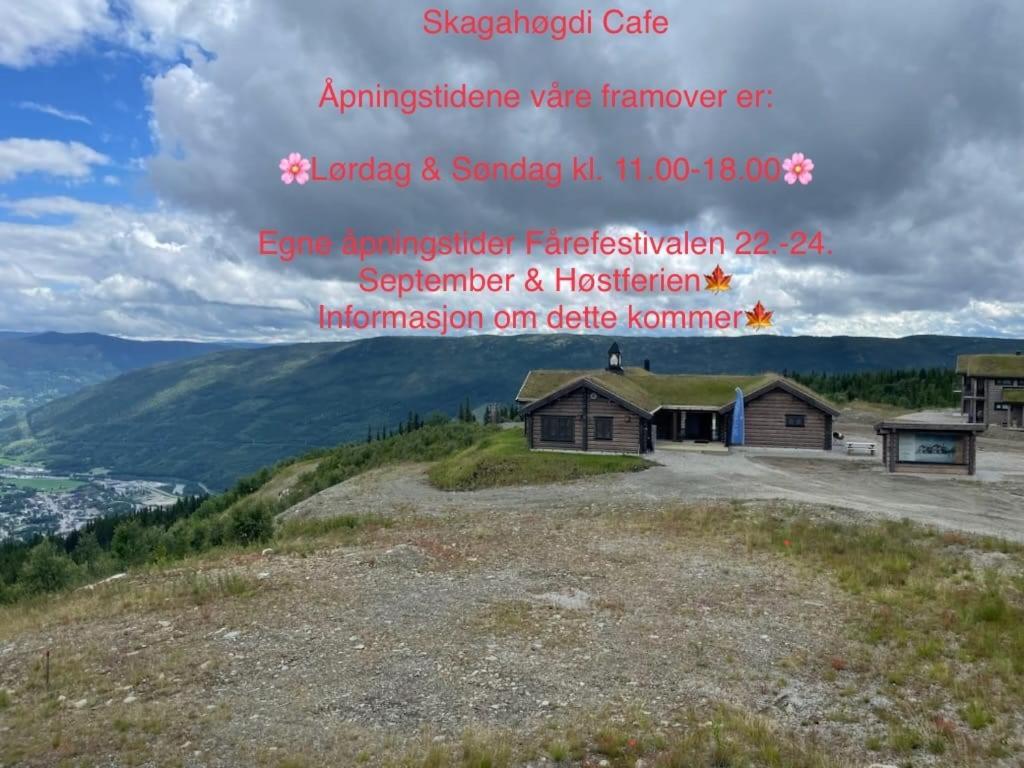 Perfect Moutain Getaway! Beautiful Apartment At Skagahogdi With Panoramic View Gol Eksteriør billede